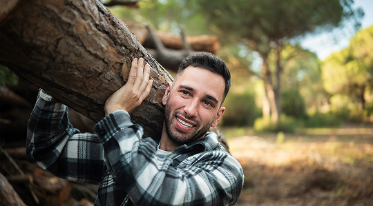 Alavis Maxima Bestier ilustrační obrázek