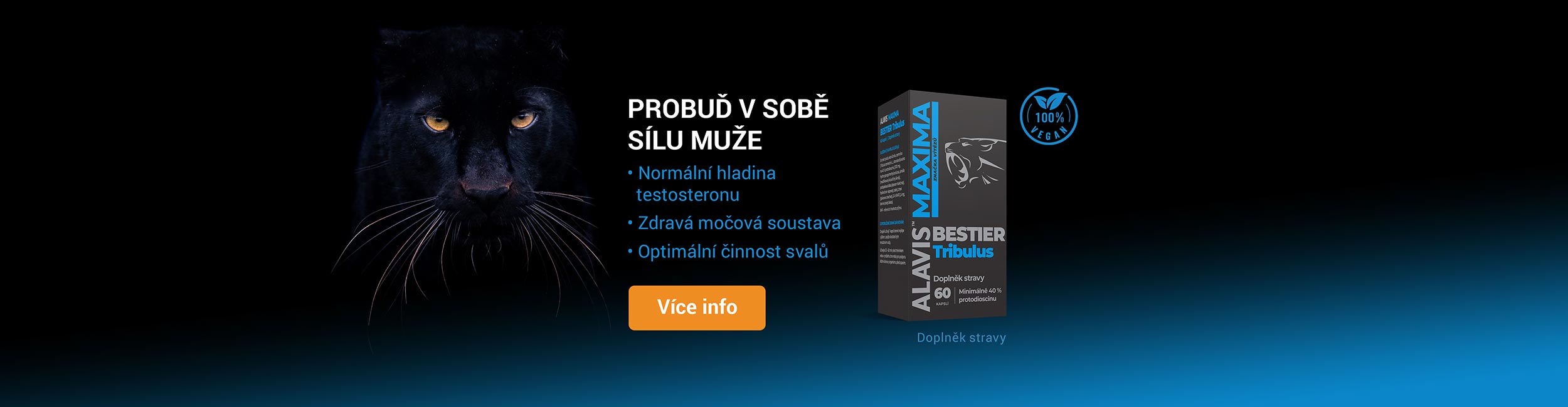 Síla testosteronu