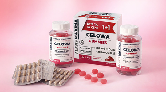 Alavis Maxima Gelowa ilustrační