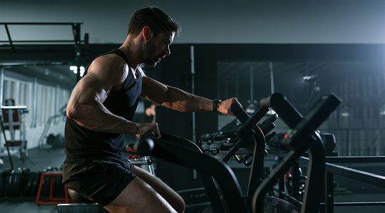 ŽAlavis Maxima Bestier ilustrační obrázek